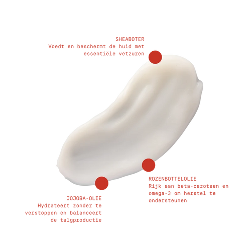 AM.PM Nourishing Moisturiser Dry Skin
